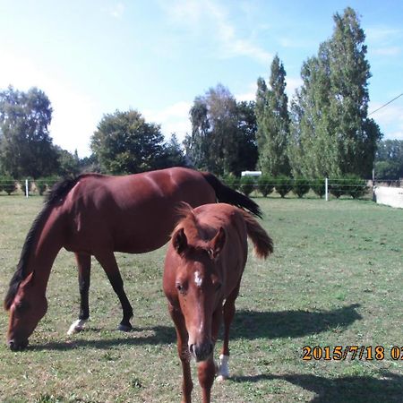 La Vieux Ville Tregomeur ภายนอก รูปภาพ