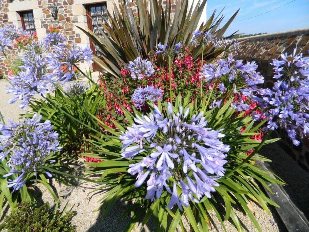 La Vieux Ville Tregomeur ภายนอก รูปภาพ