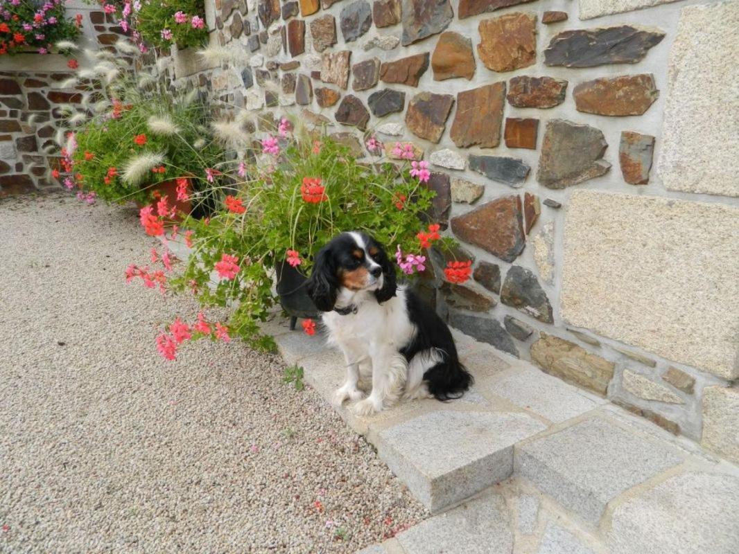 La Vieux Ville Tregomeur ภายนอก รูปภาพ