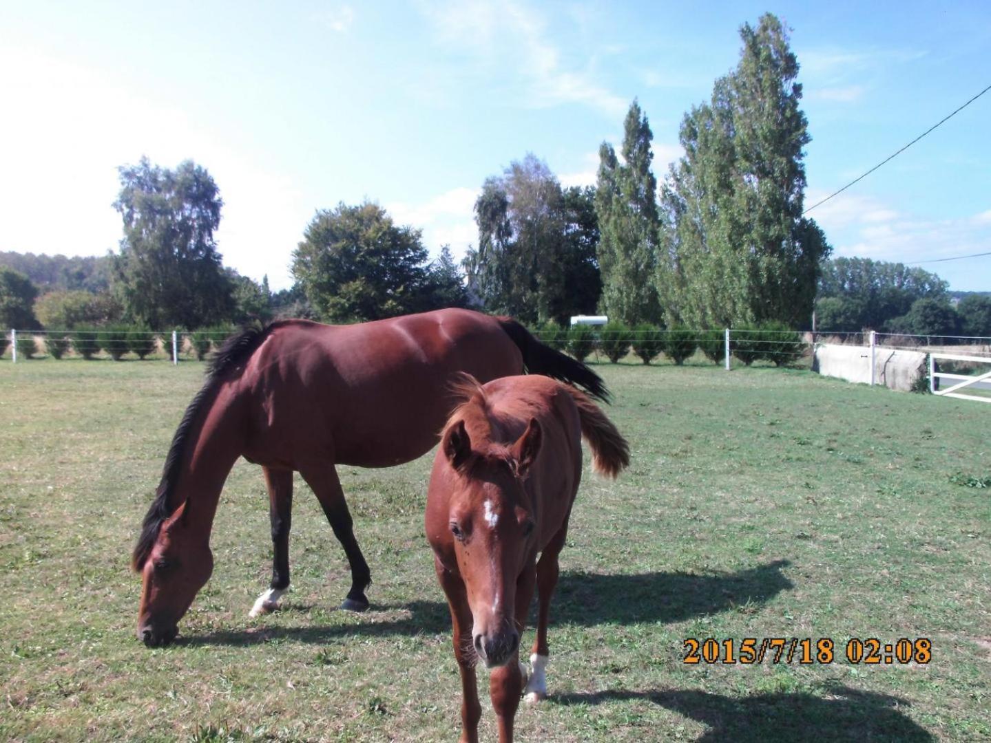 La Vieux Ville Tregomeur ภายนอก รูปภาพ